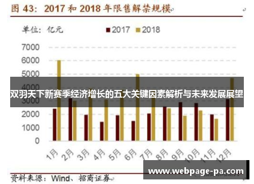 双羽天下新赛季经济增长的五大关键因素解析与未来发展展望