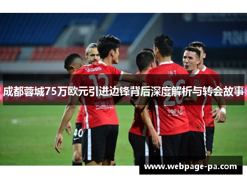 成都蓉城75万欧元引进边锋背后深度解析与转会故事 成都蓉城75万欧元引进边锋背后深度解析与转会故事