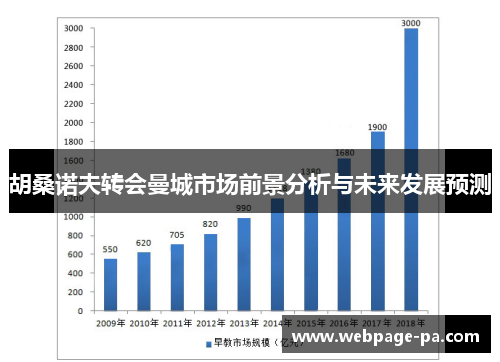 胡桑诺夫转会曼城市场前景分析与未来发展预测 胡桑诺夫转会曼城市场前景分析与未来发展预测