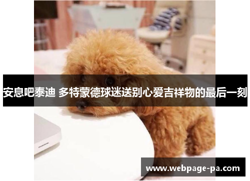 安息吧泰迪 多特蒙德球迷送别心爱吉祥物的最后一刻 安息吧泰迪 多特蒙德球迷送别心爱吉祥物的最后一刻