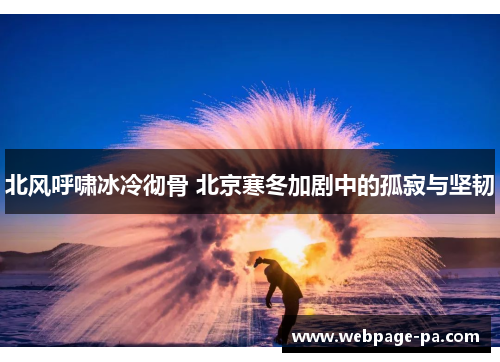 北风呼啸冰冷彻骨 北京寒冬加剧中的孤寂与坚韧