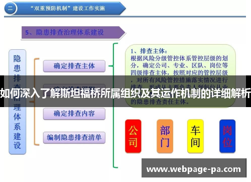 如何深入了解斯坦福桥所属组织及其运作机制的详细解析