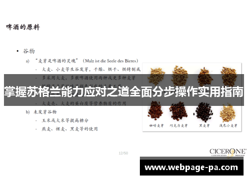 掌握苏格兰能力应对之道全面分步操作实用指南 掌握苏格兰能力应对之道全面分步操作实用指南